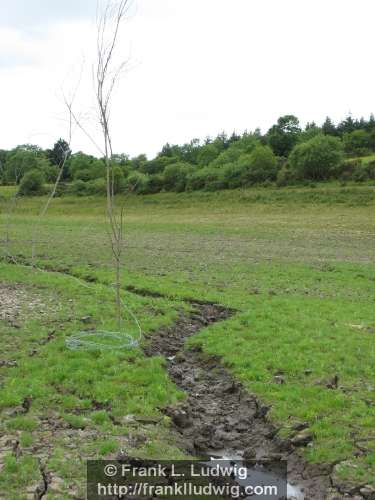 Lough Nasool Drained (2006)